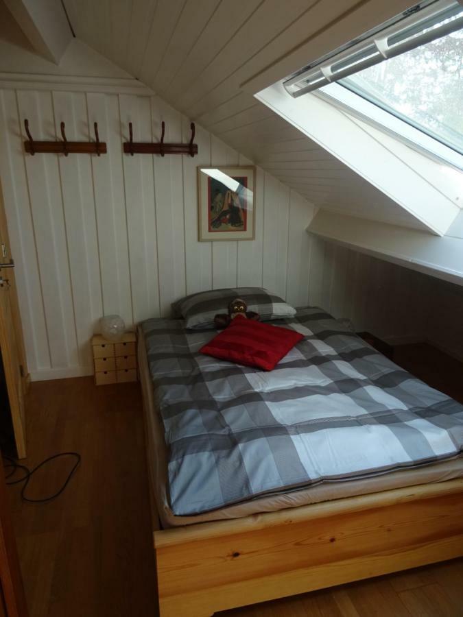 Villa Angela, Appartement 3 Chambres 오피파트 외부 사진